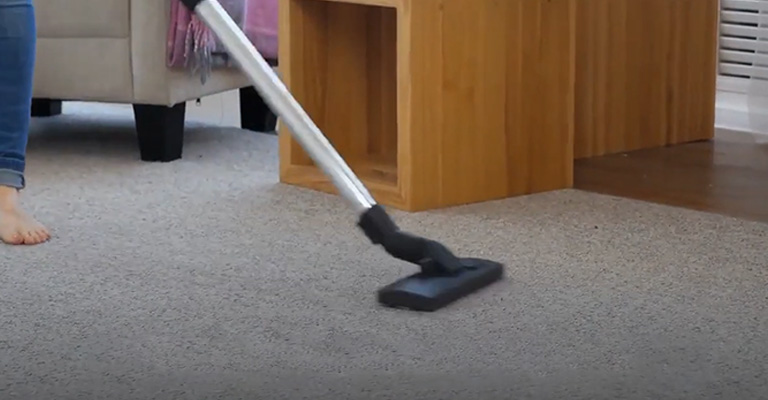 Vacuum The Wet Carpet