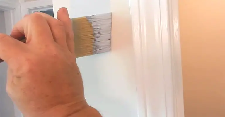 Paint Brush for Smooth Finish