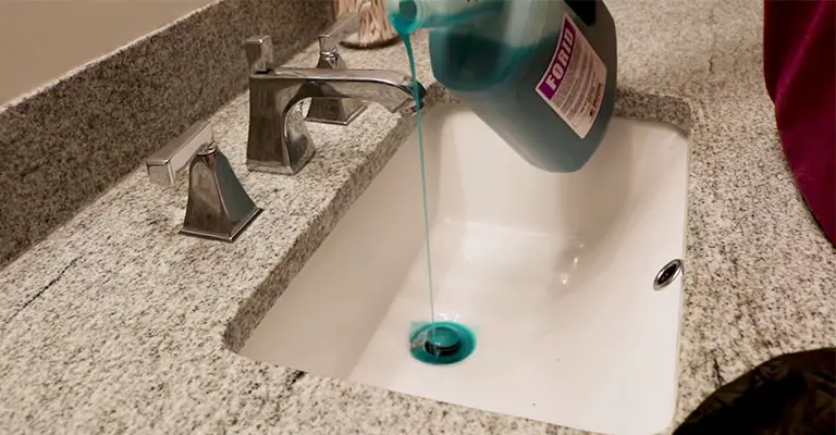 How To Stop Bugs From Coming Up The Drain?