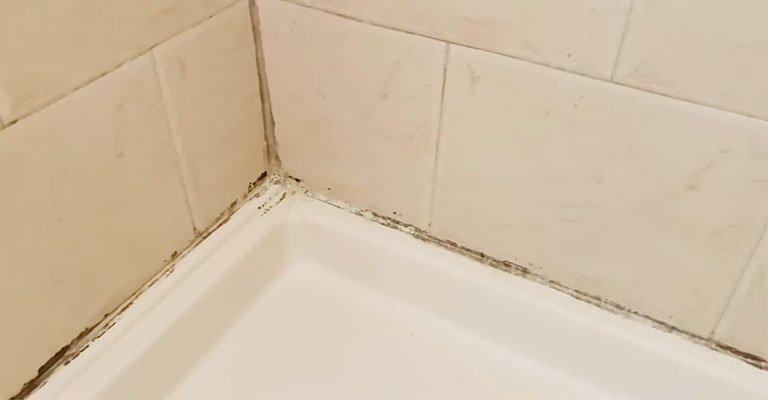 Can You Get Rid of Bathroom Mold By Re-Caulking