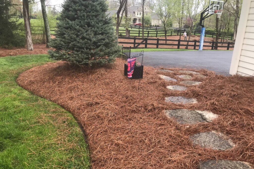 the-benefits-of-pine-straw-a-natural-choice-for-landscaping-next