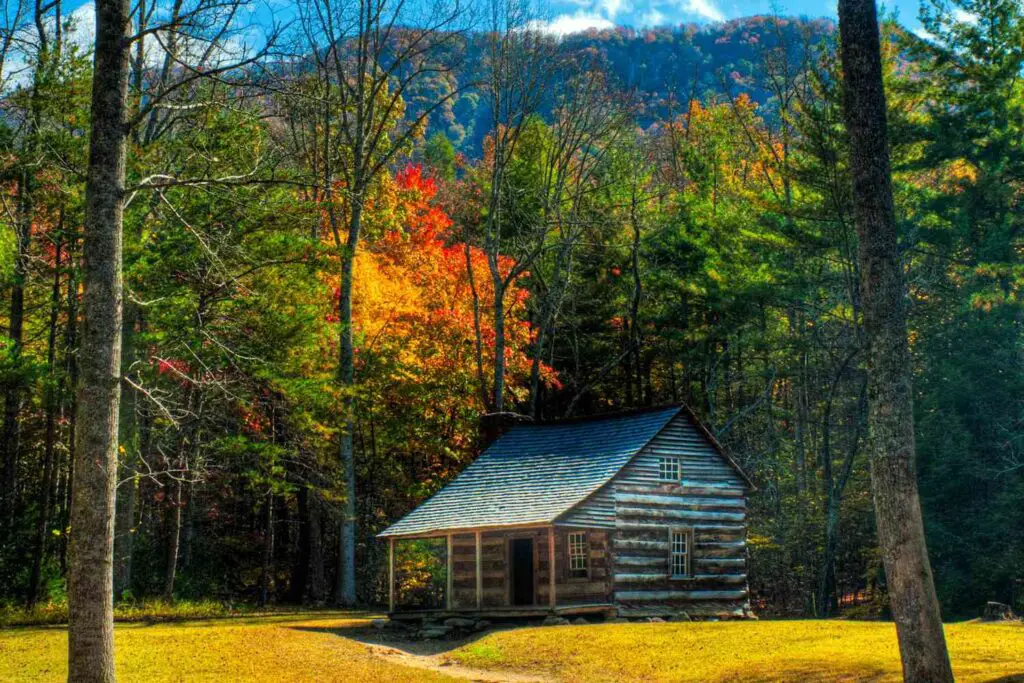 TAL header gatlinburg tennessee CABINS0123 ac308b389b7b4526a3eb8f5703608f6f Exploring the Great Outdoors: Cabins to Rent