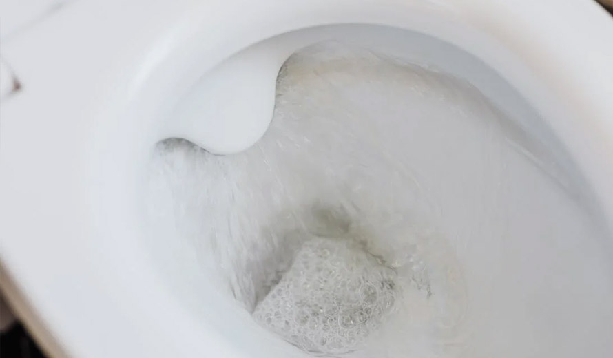toilet flush Toilet Bubbling: Common Causes and Solutions for a Quieter Bathroom