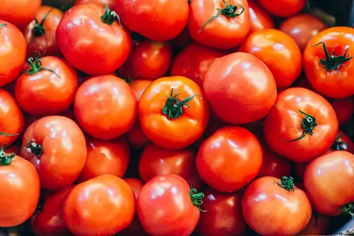 tomato Tomato Fundamentals: Ripeness, Storage & Taste