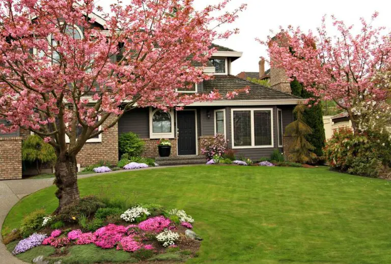Tree for Front Yard: A Comprehensive Guide to Making the Perfect Choice