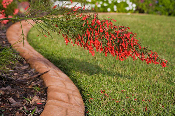 Transform Your Garden With A Timeless Brick Garden Border Next Modern   Nmh Brick Garden Border 600x400 