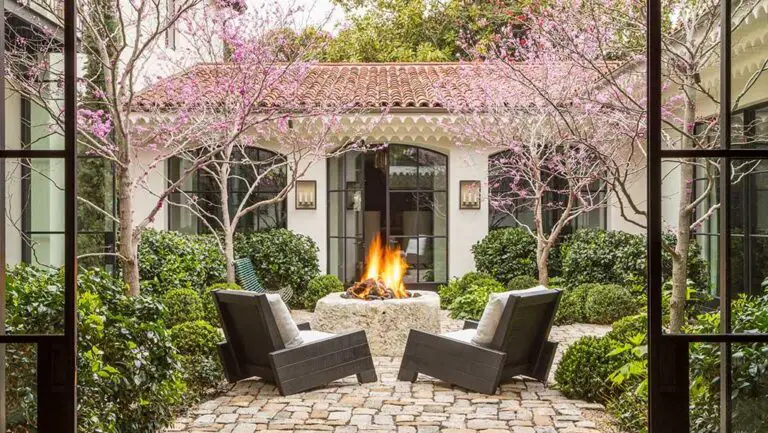 Best Patio Trees for Your Outdoor Space: A Comprehensive Guide