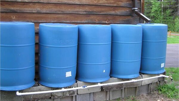 rain barrel system Rain Barrel System: Harnessing Nature's Bounty