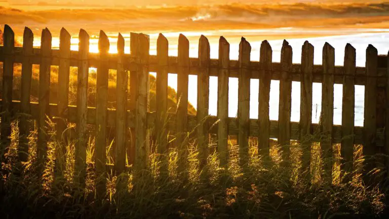 Mastering Your Landscape: A Deep Dive into Wood Fence Styles