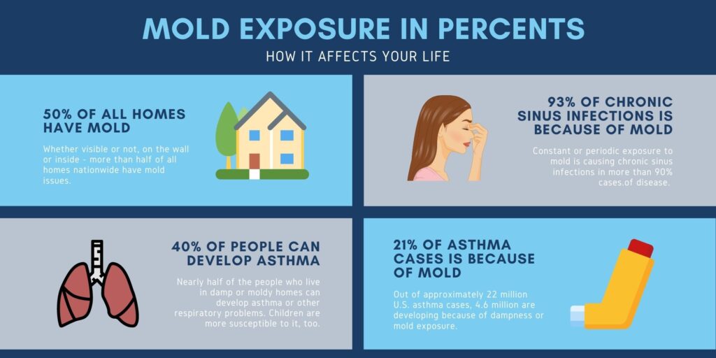 Mold Exposure In Percents 1024x512 1 Commercial Mold Troubles: Tackling Mold Restoration Challenges with Expertise