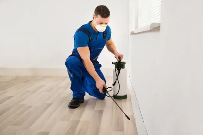 The Ultimate Pest Control Checklist for New Homeowners