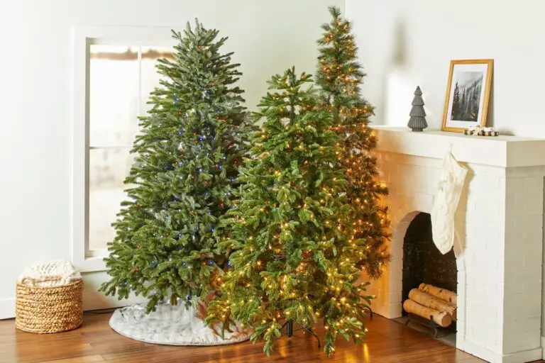 How Long Do Real Christmas Trees Last?