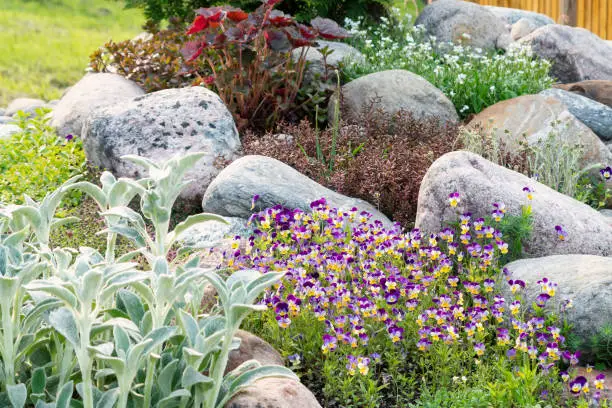 Rock Garden Ideas: Transforming Your Garden into a Zen Oasis