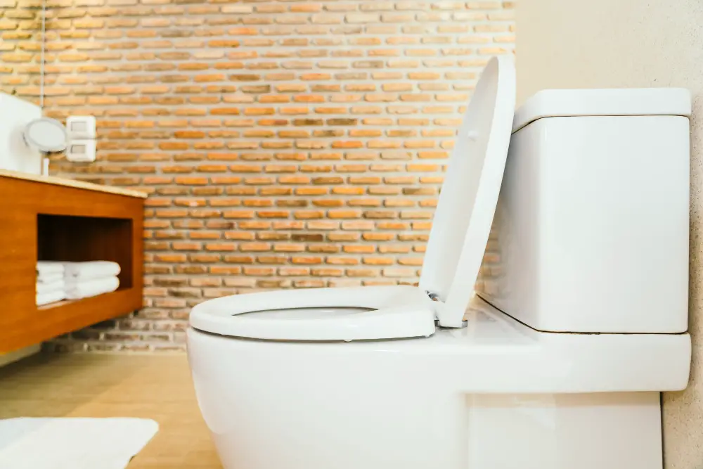 white toilet bowl seat How to Repair a Leaky Toilet Tank