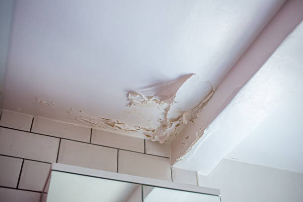 Combating Mold on the Bathroom Ceiling