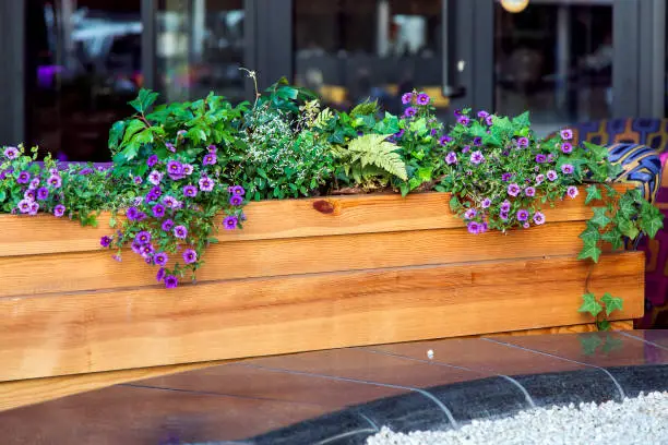 planter Creative Planter Box Ideas to Elevate Your Garden Space