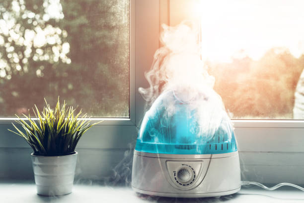 humidifier How to Clean a Humidifier: A Step-by-Step Guide