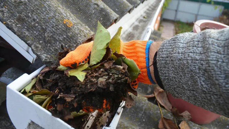 featured image gutter maintenance.jpeg Next Modern Home