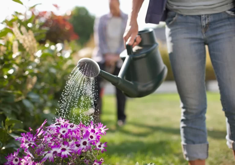 The Beginner’s Guide to a Picture-Perfect Garden: Simple Steps for Stunning Results