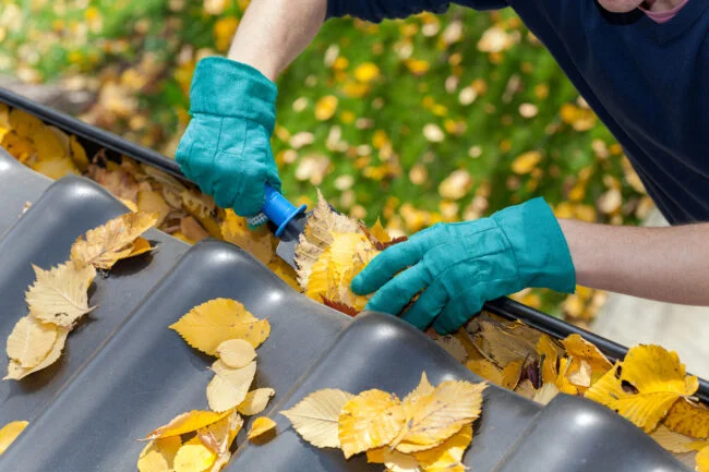 iStock 513231327 things a landscaper can do cleaning gutters from leaves 650x433 1 Pro-Grade Techniques for Effortless Residential Gutter Maintenance